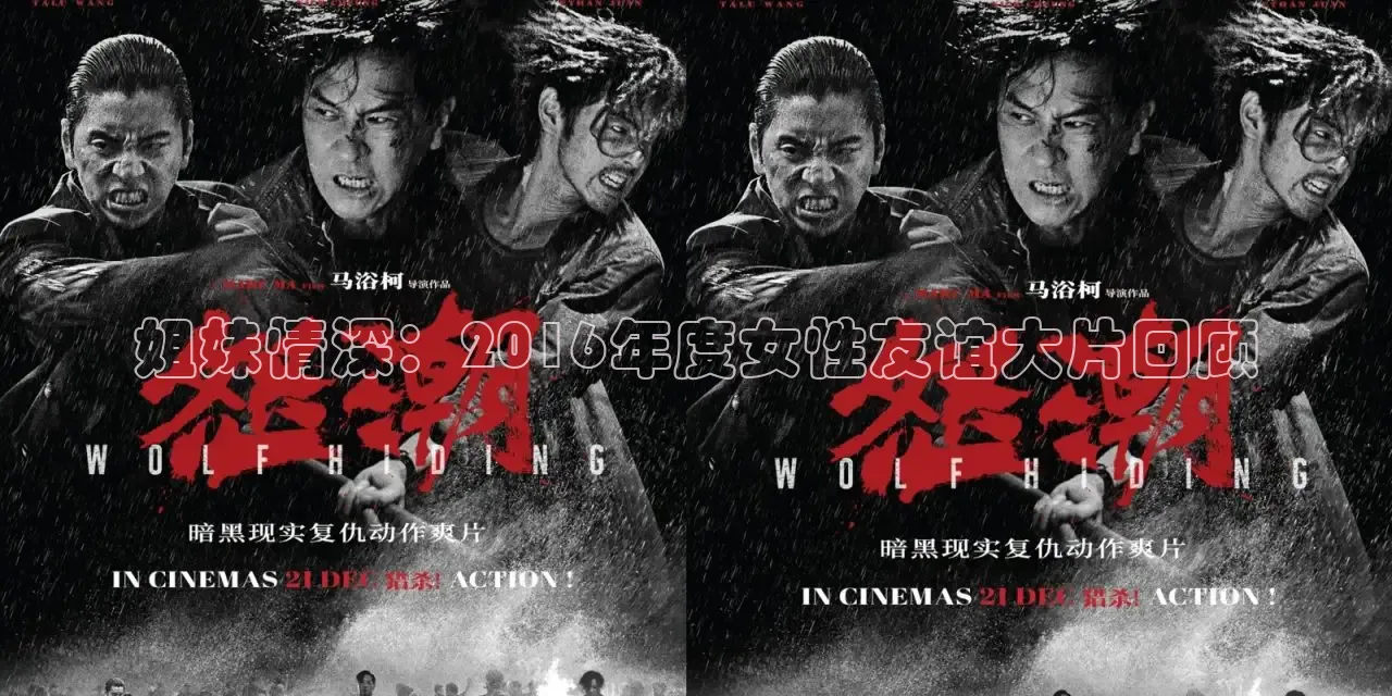 姐妹情深：2016年度女性友谊大片回顾